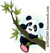 Giant panda climbing tree Giant panda climbing tree
