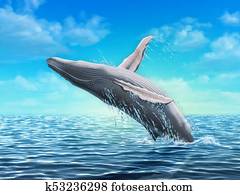 Humpback whale jumping Humpback whale jumping
