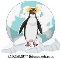 Penguin standing on ice sheet