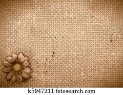 romantic rustic daisy background romantic rustic daisy background
