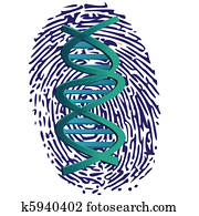 thumbprint and DNA thumbprint and DNA