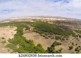 Aerial view -  Oasis near  Viana desert, Boavista - Cape Verde 
