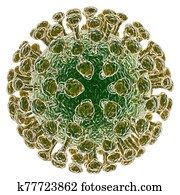 coronavirus coronavirus