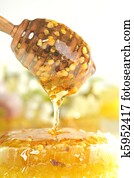 honey and pollen honey and pollen