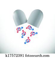 hím női, pirula, ábra, tervezés