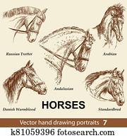 Set of hand drawing horses 7 Set of hand drawing horses 7