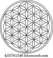 The Flower of Life The Flower of Life