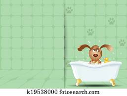 Dog in bathroom for grooming Dog in bathroom for grooming
