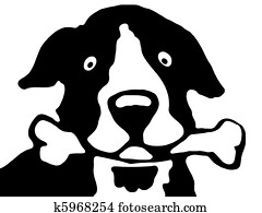 Dog Dog