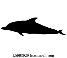 Dolphin silhouette Dolphin silhouette