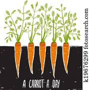 Growing Carrots Scratchy Drawing and Lettering Growing Carrots Scratchy Drawing and Lettering