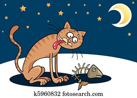 Homeless cat Homeless cat