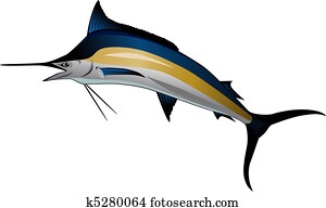 Marlin fish Marlin fish