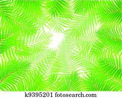 Palm leaf background 