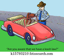State Laws State Laws