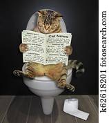 חתול, עם, a, עיתון, ב, ה, שרותים