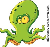 octopus octopus