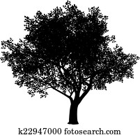 baum, silhouette baum, silhouette