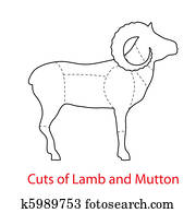 Cuts-of-Lamb-and-Mutton Cuts-of-Lamb-and-Mutton