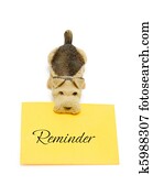 cão, com, mensagem, lembrete