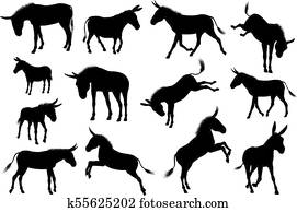 esel, tier, silhouetten, satz esel, tier, silhouetten, satz