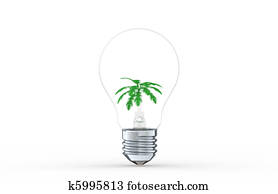 Idea to Growth Idea to Growth