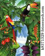 tropischer vogel tropischer vogel