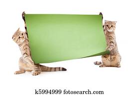 Two kittens with placard or banner for your text Two kittens with placard or banner for your text