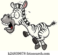 zebra
