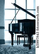 פסנתר כנף, צללית