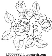 Flowers roses, contours Flowers roses, contours