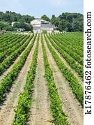 Country house near Montpellier