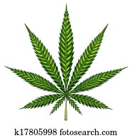 folha marijuana, isolado