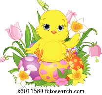 frohes ostern, baby huhn frohes ostern, baby huhn