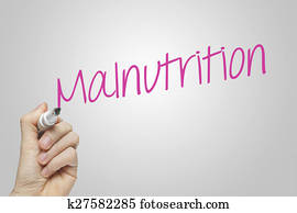 Essay on malnutrition