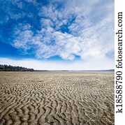 Rippled sand and mud beach created by low tide in White Rock near Vancouver, Canada. Beach background with copy space.
