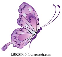 Beautiful butterfly Beautiful butterfly