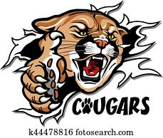 cougars mascot cougars mascot