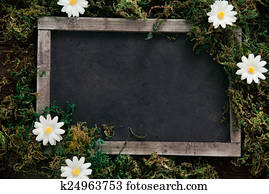 Spring background Spring background