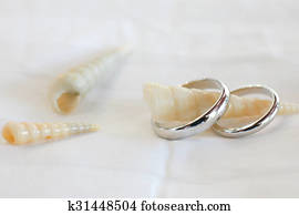 wedding rings wedding rings