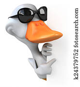 White duck White duck
