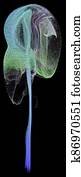 3D illustration looks like jellyfish on black background. 3D illustration looks like jellyfish on black background.
