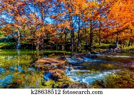bonito, outono, árvores, ligado, rio