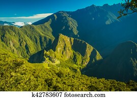 Greenery in Peru