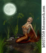 mermaid mermaid