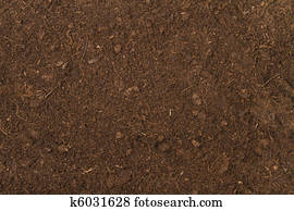 peat soil 