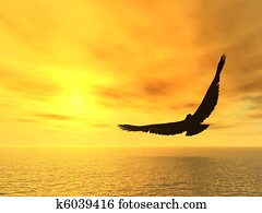 soaring eagle soaring eagle