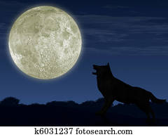The wolf and the moon The wolf and the moon
