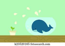 Whale Whale