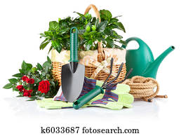 גן, ציוד, עם, ירוק, צמחים, ו, פרחים